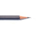 Blackwing Long Point Sharpener